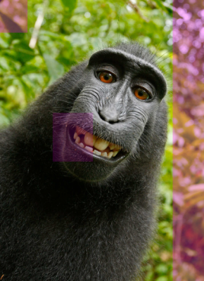 wall-wrap-print-sign