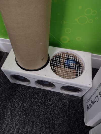 IMG_20211207_131739485_HDR