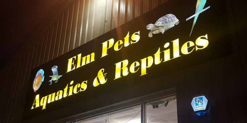 20171124_164113-900x450