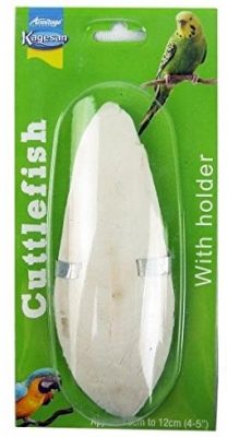 cuttlefish-bone-engraving-polish