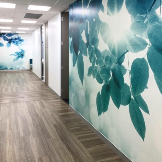 digital-printed-wall-graphics