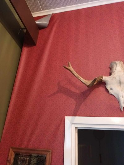 379636985_863087668801540_8916795659115785546_n